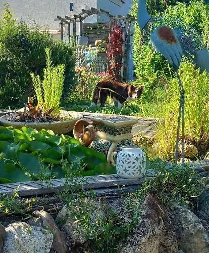 La Maison D'aude Villa